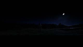 Red Dead Redemption 2 - wallpaper moonlight ultrawide