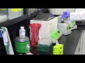 Legionella Aquadien Standard DNA Extraction Protocol