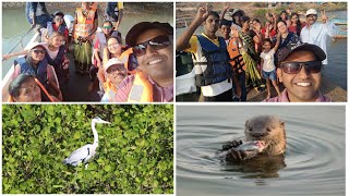 काळींजे गावातील कांदळवन सफर #अनेक जाती-प्रजातींचा दर्शन झाला🐟🐬kalinje shriwardhan mangroves tourism🌴