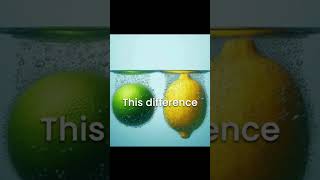 Lemons vs Limes: The Great Citrus Float Off!