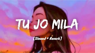 Tu Jo Mila [Slowed + Reverb] - KK | Bajrangi Bhaijaan | Lyrics I LateNight Vibes
