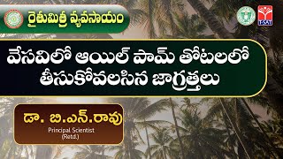 తెలంగాణ వ్యవసాయ శాఖ ఆధ్వర్యంలో | వేసవిలో ఆయిల్ పామ్ తోటలలో తీసుకోవలసిన జాగ్రత్తలు | డా. బి.ఎన్. రావు