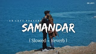 Samandar - Lofi (Slowed + Reverb) | Jubin Nautiyal, Shreya Ghoshal | SR Lofi