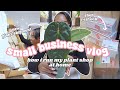 Small Business Vlog🪴: New Anthurium Hybrid Unboxing🌱, Prepping For Shop Update, Packing Orders