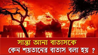 দাবানল কি শুধুই প্রকৃতির প্রতিশোধ? । How can we fight against Wildfires?