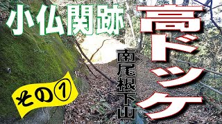 もへじさん、北高尾山稜の高ドッケ南尾根を下山しに行ったみたいですよ♡その①