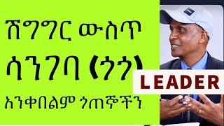 ጠንካራ ድርጅት መስርተን ሳንጨርስ እና የህልውና ትግሉን ወደ ሽግግርለስክናደርስ ቁርጠኛ የትግሉ መሪ ታላቁ እስክንድር በቦታው መምራት አለበት!