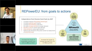 REPowerEU  Opportunities for utility scale solar players
