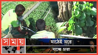 গ্রিনহাউজ পদ্ধতি বাড়াবে চারা উৎপাদন ! | Seedling Production | Plant Propagation | Agriculture news