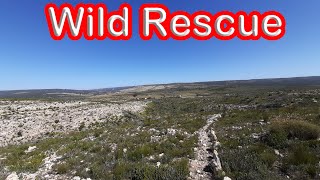 S1 - Ep 19.1 – Wild Rescue Private Nature Reserve!