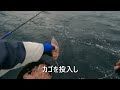 【小浜沖】天秤フカセ釣りでメダイ狙い【メダイは出ません】