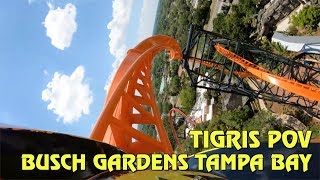 Tigris Roller Coaster Front \u0026 Back Row POV at Busch Gardens Tampa Bay