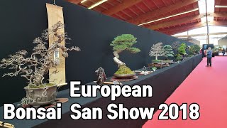 [금현분재] 유로피언 분재 '산'쇼 European Bonsai San Show 2018 /분재/盆栽/Bonsai/cây cảnh