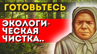 Что Ожидает Нас В Ближайшие Дни? Предупреждает Пелагея Рязанская