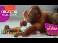 Teens, Tots and Tantrums | Orangutan Jungle School 108