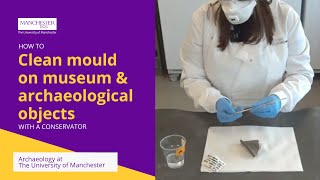 How to Clean Mould on Museum and Archaeological Objects with a Conservator