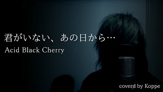 君がいない、あの日から…／Acid Black Cherry【歌ってみた】