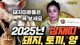 2025년 들어오는 삼재띠, 돼지띠, 토끼띠, 양띠 이 영상을 찍는 이유는 돼지띠 때문에..너무 겁먹지 마세요~ 생일달 별로 말씀드려요!