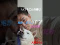 いつもこんな感じ 紀州犬 ドッグ dog short shorts 愛犬 犬