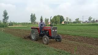 Massey 7235 in 11 cultivator Jind HR