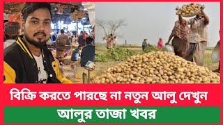 বিক্রি করতে পারছে না দেশি নতুন আলু | চরম সস্তায় বিক্রি হচ্ছে আলু দাম  | today potato  market price