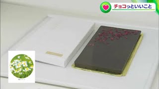 「チョコのパッケージに植物の種、箱を埋めれば花が咲く」(◎_◎) ? 約1500種類のチョコレート並ぶ “チョコっといいこと” バレンタインフェア【岡山】