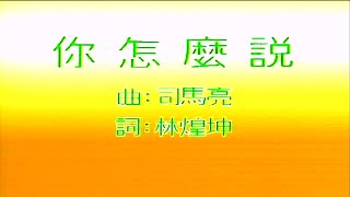 你怎麽說-鄧麗君-伴奏 KARAOKE