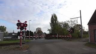 Spoorwegovergang Balen/ Passage a Niveau/ Railroad-/ Level Crossing/ Bahnübergang