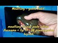 Tips agar Kepiting Bakau Cepat Moulting