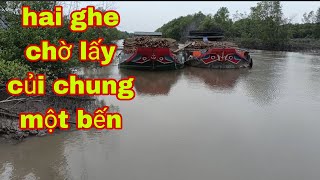 Chuyến củi cuối, mình nghĩ củi quay về chở lúa