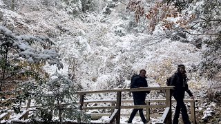 Koyasan to Kamikosawa, via Chimi Michi with snow