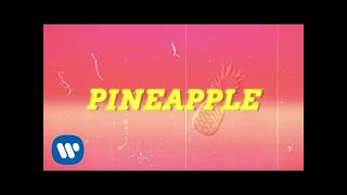 Ty Dolla $ign - Pineapple feat. Gucci Mane & Quavo [Lyric ]