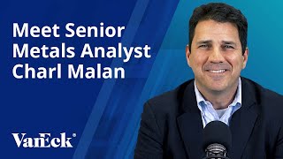 Meet Senior Metals and Mining Analyst Charl Malan