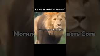 Могилевская область core #россия #могилев #memes #мем #беларусь