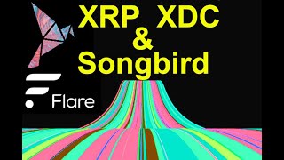 Ripple Chris Larsen hardly seen video, XRP goes FARTHER, XDC & Big Boys, EASY earning with FLARE SGB