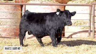 Lot 47 | Raatz Farms 2025