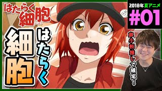 はたらく細胞 第1話 同時視聴 アニメリアクション Hataraku Saibou Episode 1 Anime Reaction