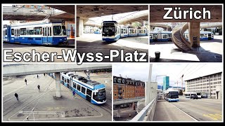 Tram und Bus am Escher-Wyss-Platz Zürich