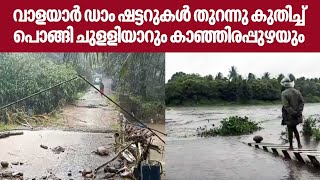 വാളയാർ ഡാം ഷട്ടറുകൾ തുറന്നു കുതിച്ച് പൊങ്ങി ചുളളിയാറും കാഞ്ഞിരപ്പുഴയും | Walayar Dam | Palakkad