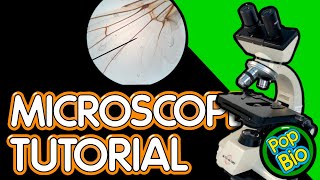 How To Use a Microscope Tutorial