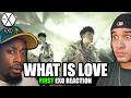 YOUNG BAEKHYUN?! FIRST REACTION TO - EXO-K 엑소케이 'WHAT IS LOVE' MV (Korean Ver.)