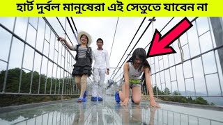 হার্ট দুর্বল মানুষেরা এই সেতুতে যাবেন না । Most Dangerous Bridges in the World