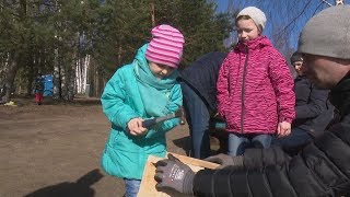 Jēkabpils Mežaparkā norisinās putnu būrīšu darināšanas darbnīca