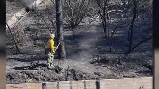 'You could probably describe it as apocalyptic' | Central Texas firefighters help contain wildfires