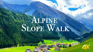 The Alps 4K Video - Scenic Relaxation Alpine Slope Walk