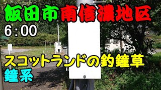 【現在廃止】長野県 飯田市 南信濃地区 防災行政無線 6：00　スコットランドの釣鐘草(鐘系)