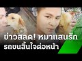 เจ้าของใจสลาย หมาแสนรักถูกรถชนตาย | 5 พ.ย. 67 | ห้องข่าวหัวเขียว