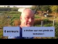 Les 6 erreurs a éviter  sur vos pieds de tomates ?