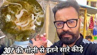 आज सभी कबूतरों के पेट के कीड़े ख़तम कर दिए सिर्फ 30₹ मे  | pigeon deworming