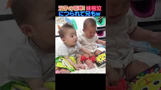 双子の喧嘩で妹が泣いたら釣られて泣いちゃう兄 #赤ちゃん#baby #双子 #twins #喧嘩 #双子の喧嘩#取り合い #号泣 #もらい泣き #shorts